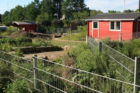 Blick auf einen Garten mit zwei roten Gartenhäusern, angebautem Gemüse und einem Umzäunungsgelände.